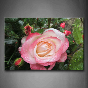 Pink Rose And Leaf With Water Drop Wall Art Painting Pictures Print On Canvas Flower The Picture For Home Modern Decoration 