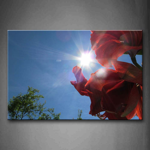 Sunbeam Exposure Red Flower Wall Art Painting The Picture Print On Canvas Flower Pictures For Home Decor Decoration Gift 