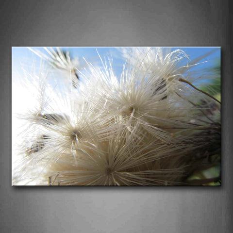 White Dandelion Wall Art Painting The Picture Print On Canvas Flower Pictures For Home Decor Decoration Gift 