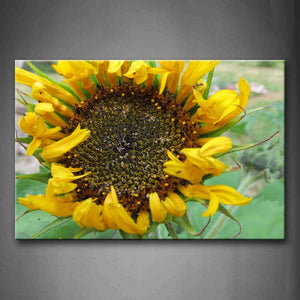Sunflower With Green Leaf Wall Art Painting Pictures Print On Canvas Flower The Picture For Home Modern Decoration 