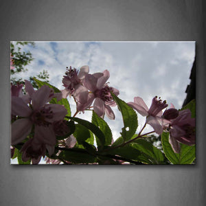Purple Flower With Green Leaf White Cloud Wall Art Painting Pictures Print On Canvas Flower The Picture For Home Modern Decoration 