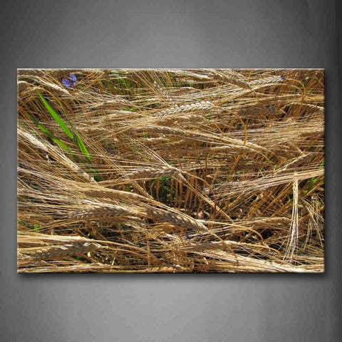 Golden Wheat Field Bend Wall Art Painting The Picture Print On Canvas Botanical Pictures For Home Decor Decoration Gift 