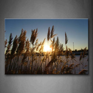 Sunbeam And Tall Grass Wall Art Painting Pictures Print On Canvas Botanical The Picture For Home Modern Decoration 