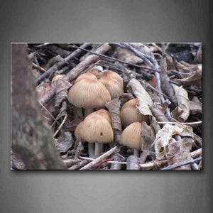 Brown Mushroom With  Stripe Dead Leaf Wall Art Painting The Picture Print On Canvas Botanical Pictures For Home Decor Decoration Gift 