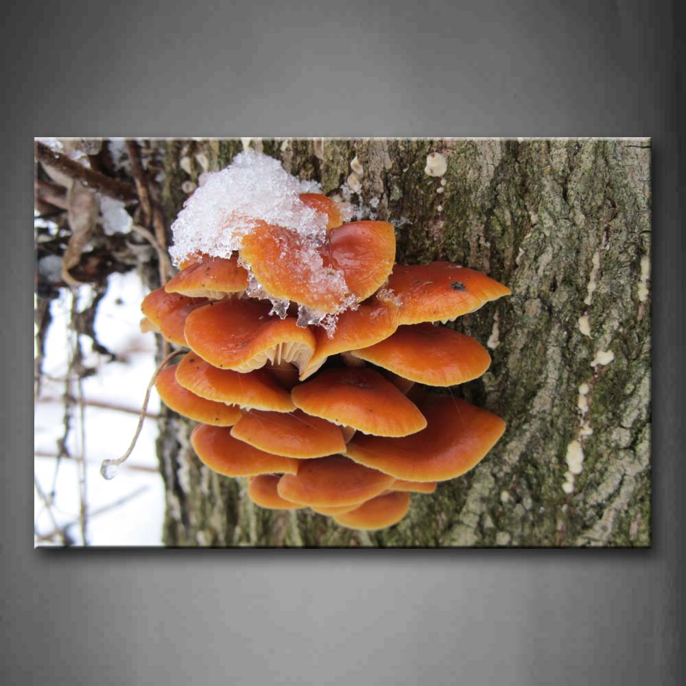 Orange Mushroom With Freeze In Branch Wall Art Painting Pictures Print On Canvas Botanical The Picture For Home Modern Decoration 