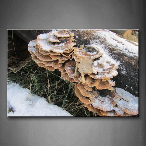 Brown Mushroom Covered Freeze In Dead Wood Wall Art Painting The Picture Print On Canvas Botanical Pictures For Home Decor Decoration Gift 