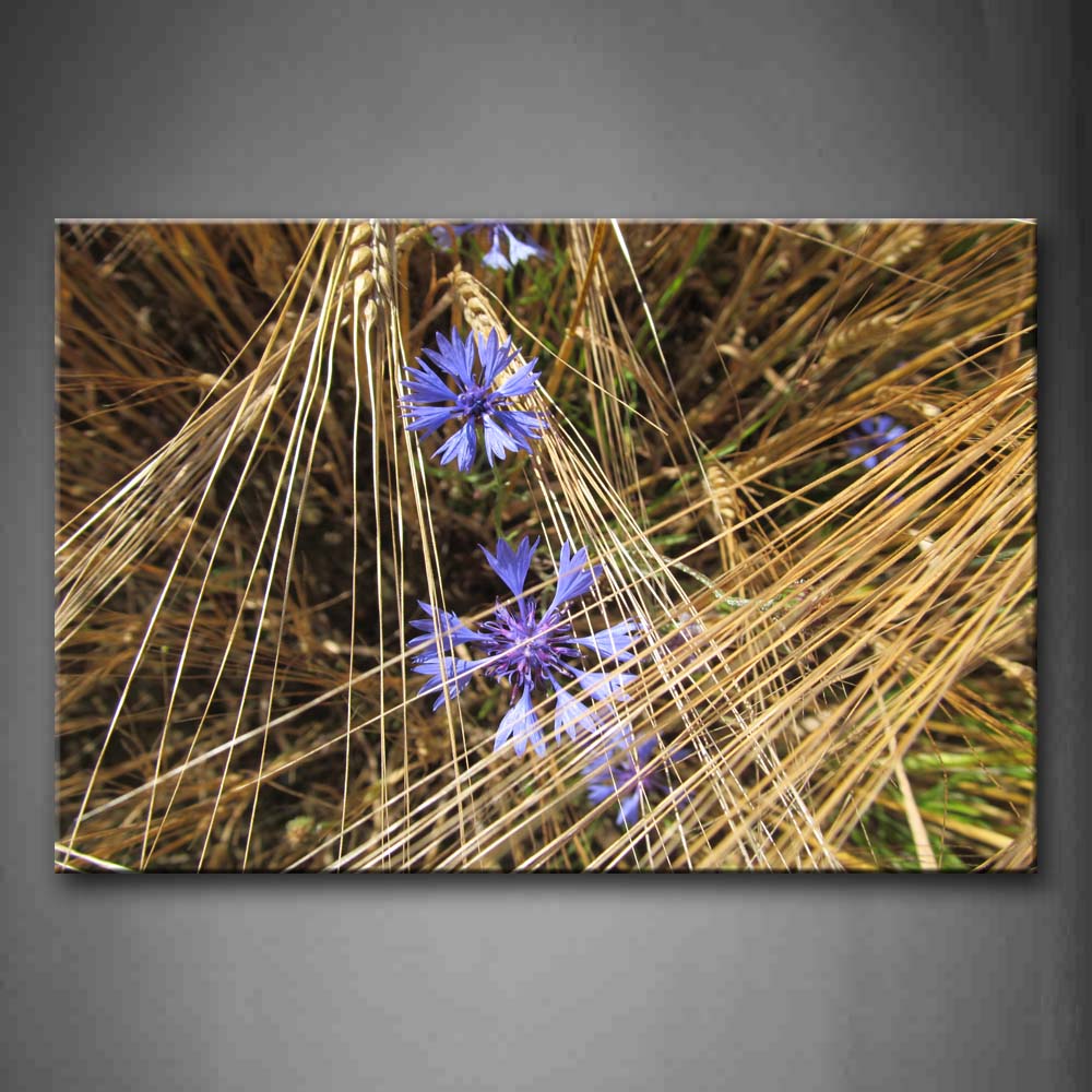 Blue Flower With Golden Wheat Wall Art Painting Pictures Print On Canvas Botanical The Picture For Home Modern Decoration 