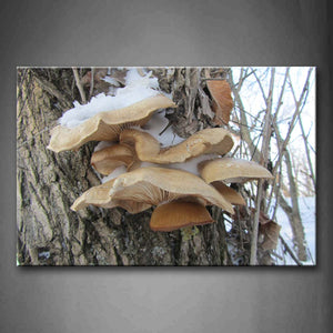 Brown Mushroom With Snow In Branch Wall Art Painting Pictures Print On Canvas Botanical The Picture For Home Modern Decoration 