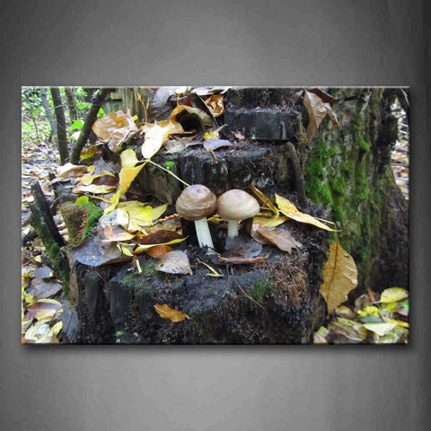 Brown Mushroom With Moss In Dead Wood Wall Art Painting The Picture Print On Canvas Botanical Pictures For Home Decor Decoration Gift 