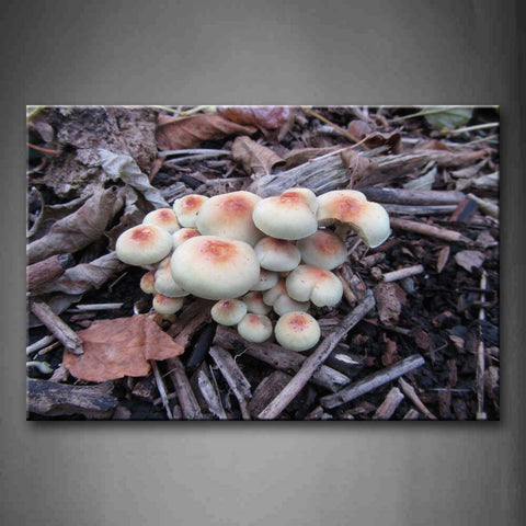 White And Brown Mushroom Wall Art Painting Pictures Print On Canvas Botanical The Picture For Home Modern Decoration 