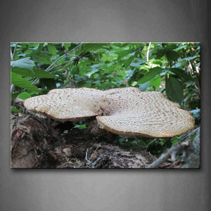 Brown Mushroom With Green Leaf Wall Art Painting Pictures Print On Canvas Botanical The Picture For Home Modern Decoration 