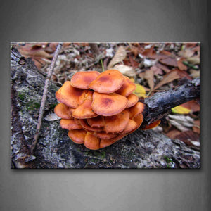 Red Mushroom Stack-Up In Dead Wood Wall Art Painting Pictures Print On Canvas Botanical The Picture For Home Modern Decoration 