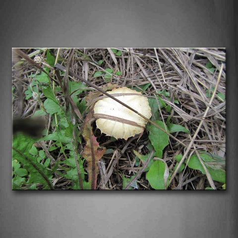 White Mushroom With Green Grass Wall Art Painting Pictures Print On Canvas Botanical The Picture For Home Modern Decoration 