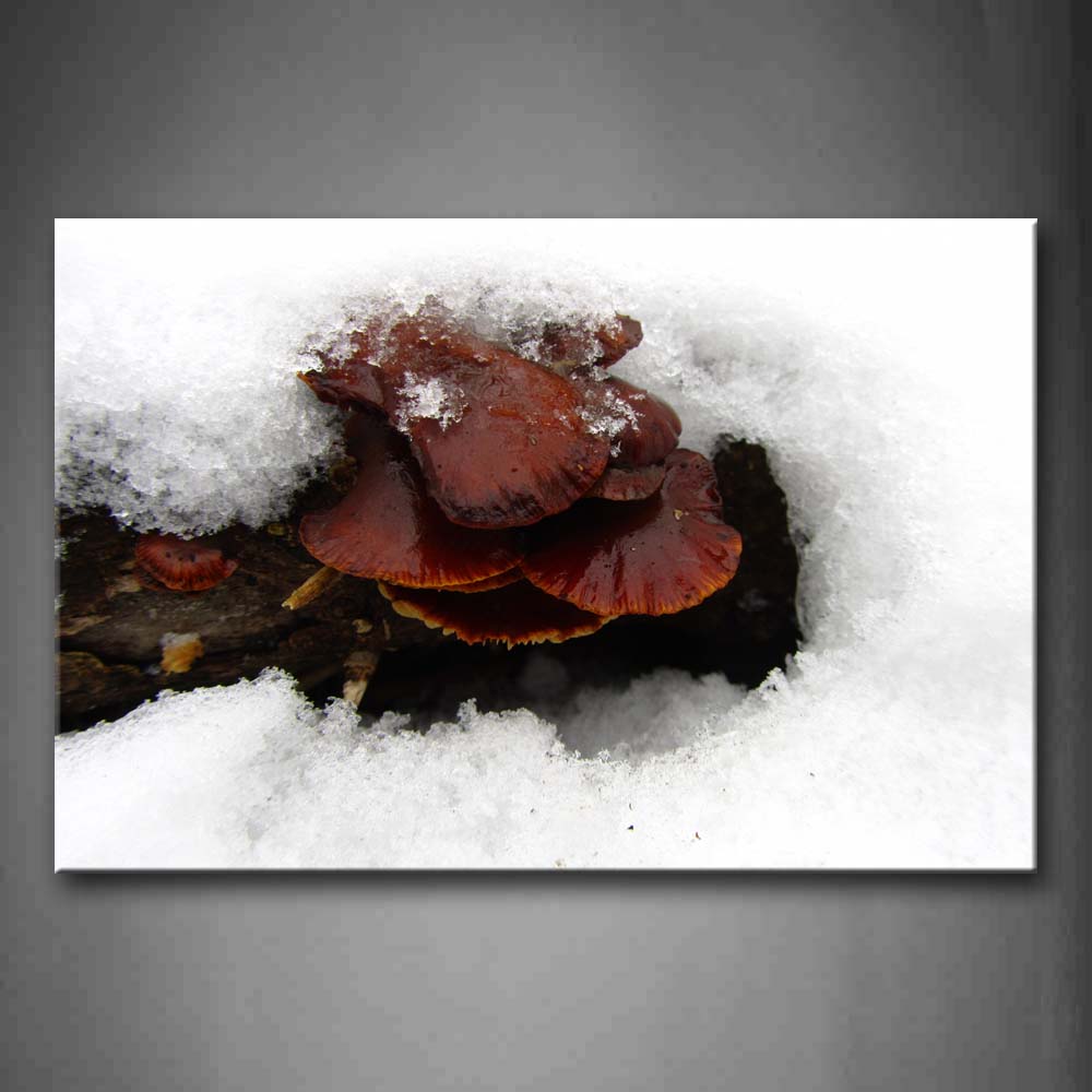 Red Mushroom Stack-Up Covered Freeze Wall Art Painting Pictures Print On Canvas Botanical The Picture For Home Modern Decoration 