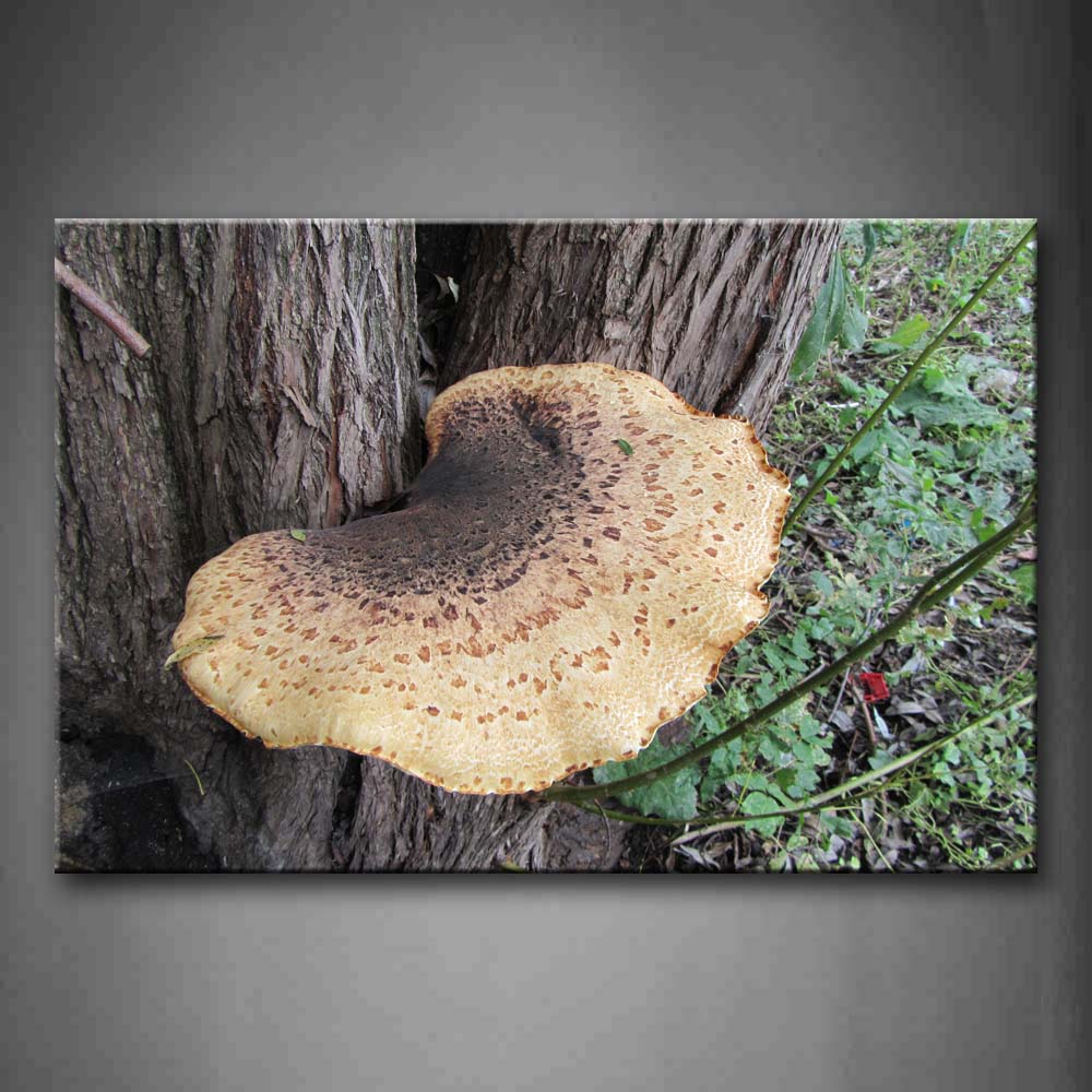 Brown And Black Mushroom In Branch Wall Art Painting The Picture Print On Canvas Botanical Pictures For Home Decor Decoration Gift 