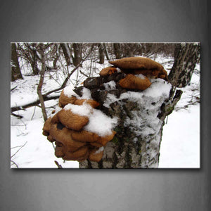 Brown Mushroom With Snow In Branch Wall Art Painting Pictures Print On Canvas Botanical The Picture For Home Modern Decoration 