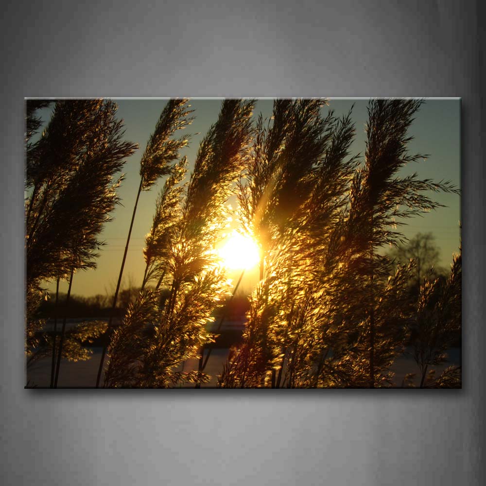 Sunbeam And Tall Grass At Sunset Wall Art Painting Pictures Print On Canvas Botanical The Picture For Home Modern Decoration 