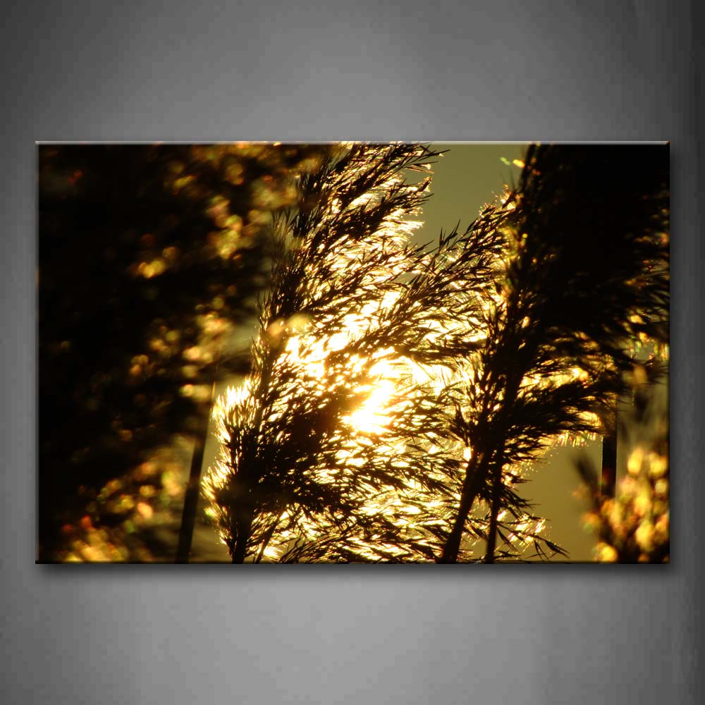 Sunbeam Irradiate With Grass Wall Art Painting The Picture Print On Canvas Botanical Pictures For Home Decor Decoration Gift 