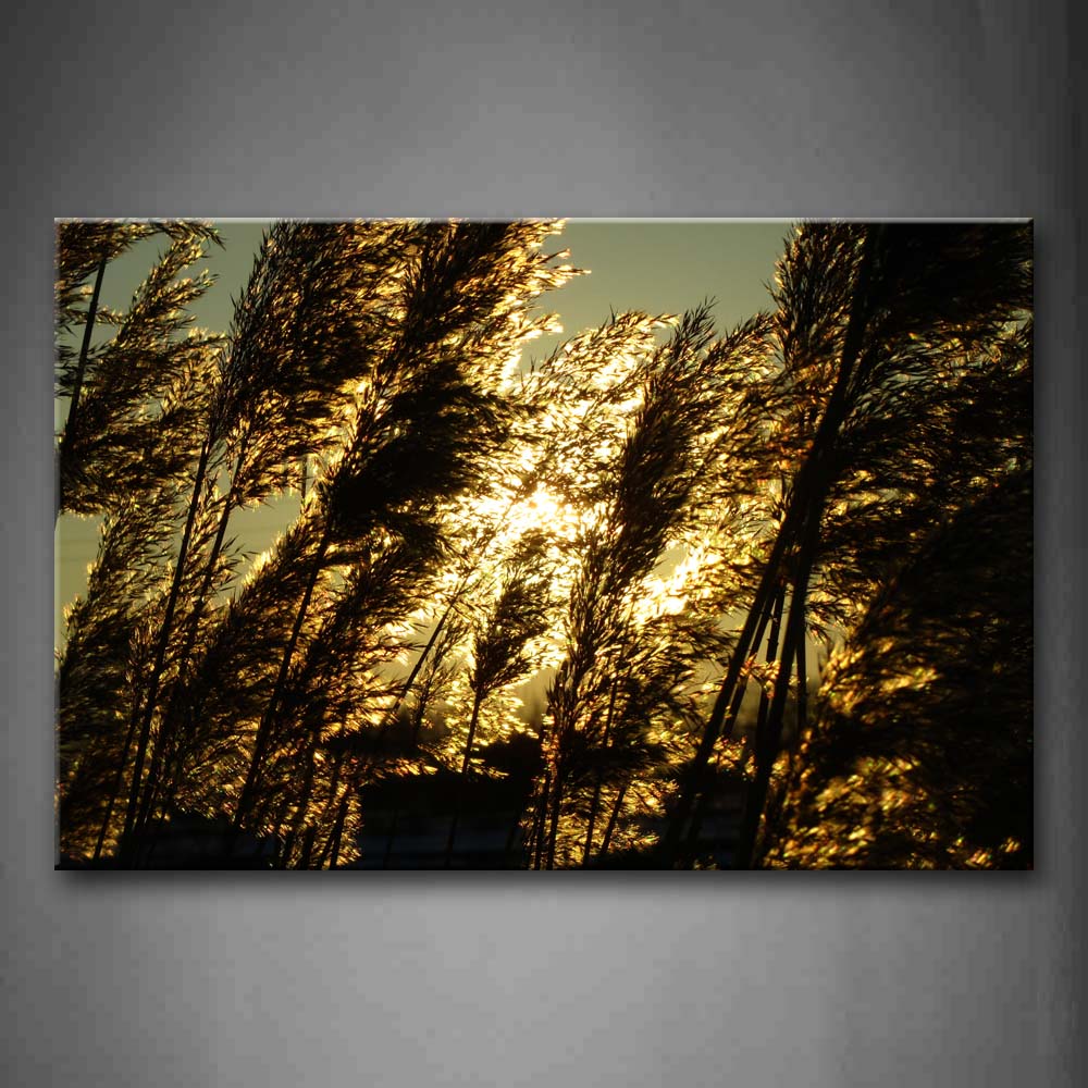 Tall Grass Crowd With Sunbeam Wall Art Painting Pictures Print On Canvas Botanical The Picture For Home Modern Decoration 