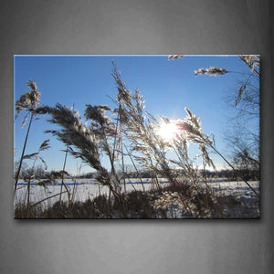 Sunbeam With Tall Grass And Snow Wall Art Painting The Picture Print On Canvas Botanical Pictures For Home Decor Decoration Gift 