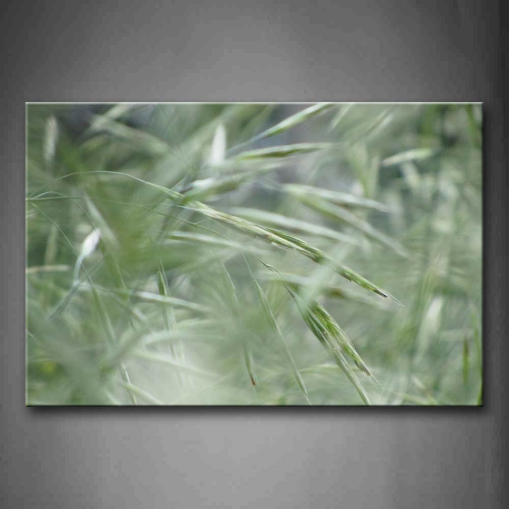 Green Grass Wall Art Painting Pictures Print On Canvas Botanical The Picture For Home Modern Decoration 