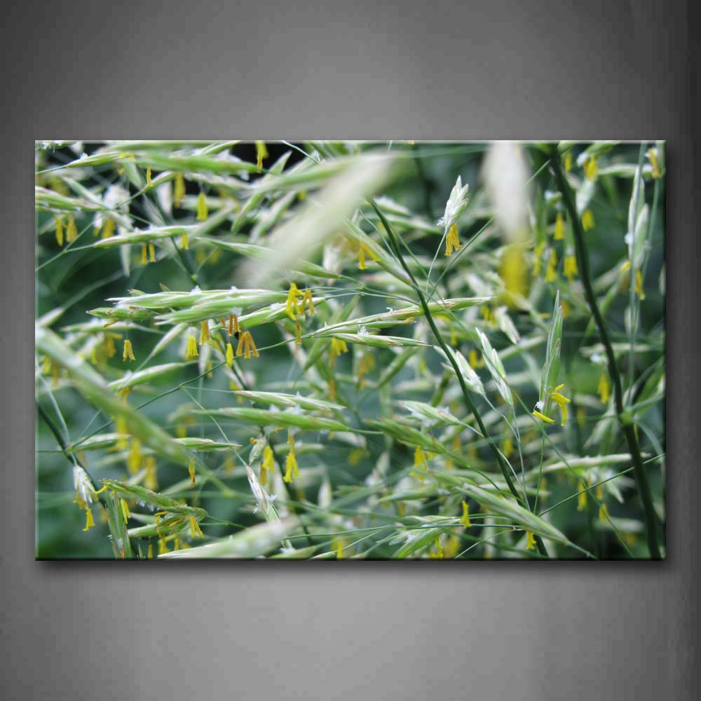 Yellow Flower And Green Leaf Wall Art Painting The Picture Print On Canvas Botanical Pictures For Home Decor Decoration Gift 