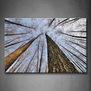 Forest With Tall Tree Wall Art Painting The Picture Print On Canvas Botanical Pictures For Home Decor Decoration Gift 
