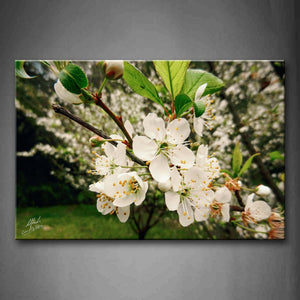 White Blossom With Green Leaf Wall Art Painting The Picture Print On Canvas Flower Pictures For Home Decor Decoration Gift 