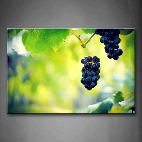 Deep Purple Grapes With Green Leaf Wall Art Painting The Picture Print On Canvas Food Pictures For Home Decor Decoration Gift 