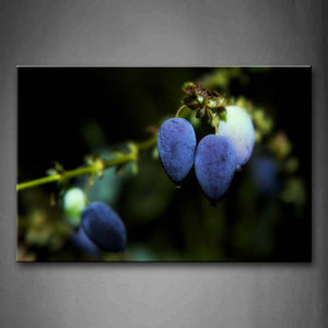 Blue Berry In Branch Wall Art Painting Pictures Print On Canvas Food The Picture For Home Modern Decoration 