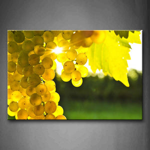 Yellow Orange Golden Grapes And Leaf With Sunlight Wall Art Painting Pictures Print On Canvas Food The Picture For Home Modern Decoration 