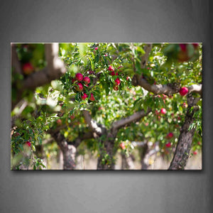 Small Red Apple With Green Leaf In Branch Wall Art Painting The Picture Print On Canvas Food Pictures For Home Decor Decoration Gift 