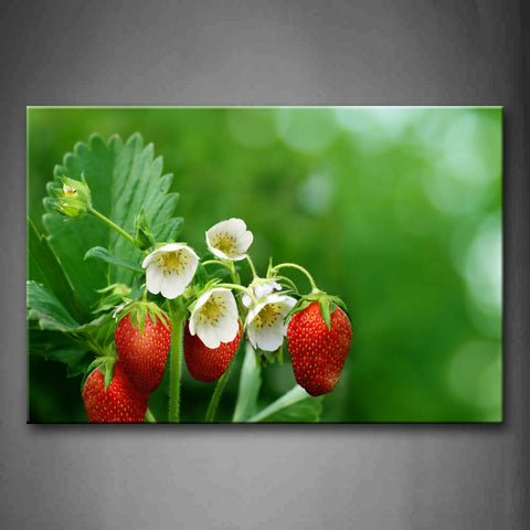 Red Strawberry With White Flower Green Leaf Wall Art Painting Pictures Print On Canvas Food The Picture For Home Modern Decoration 