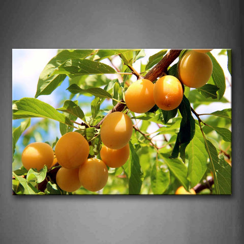 Yellow Peach With Leaf In Branch Wall Art Painting The Picture Print On Canvas Food Pictures For Home Decor Decoration Gift 
