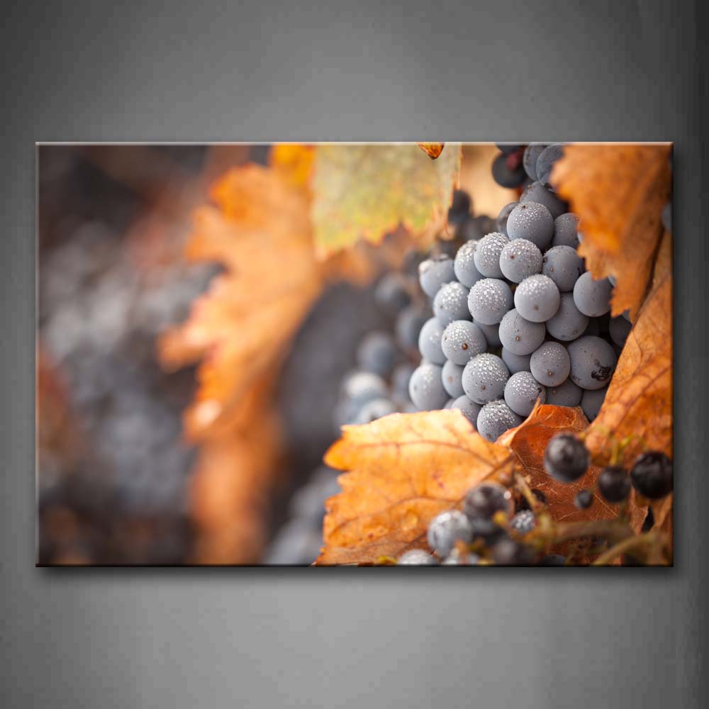 Grapes Freeze With Autumn Leaf Wall Art Painting The Picture Print On Canvas Food Pictures For Home Decor Decoration Gift 