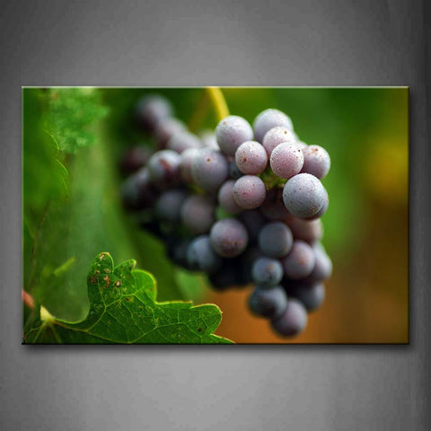 Purple Grapes With Green Leaf Wall Art Painting Pictures Print On Canvas Food The Picture For Home Modern Decoration 