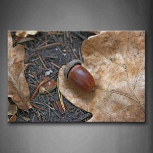 Brown Acorn With Dead Wood In Ground Wall Art Painting Pictures Print On Canvas Food The Picture For Home Modern Decoration 