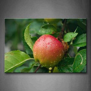Apple With Water Drop And Green Leaf Wall Art Painting The Picture Print On Canvas Food Pictures For Home Decor Decoration Gift 
