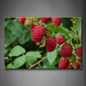 Red Raspberry With Green Leaf In Tree Wall Art Painting The Picture Print On Canvas Food Pictures For Home Decor Decoration Gift 