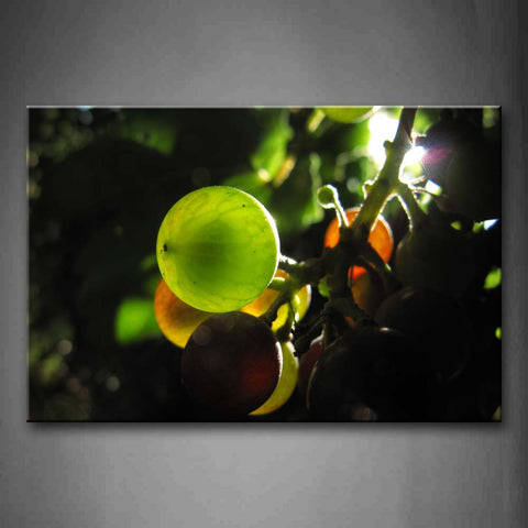 Green Grapes In Tree With Sunlight Wall Art Painting Pictures Print On Canvas Food The Picture For Home Modern Decoration 