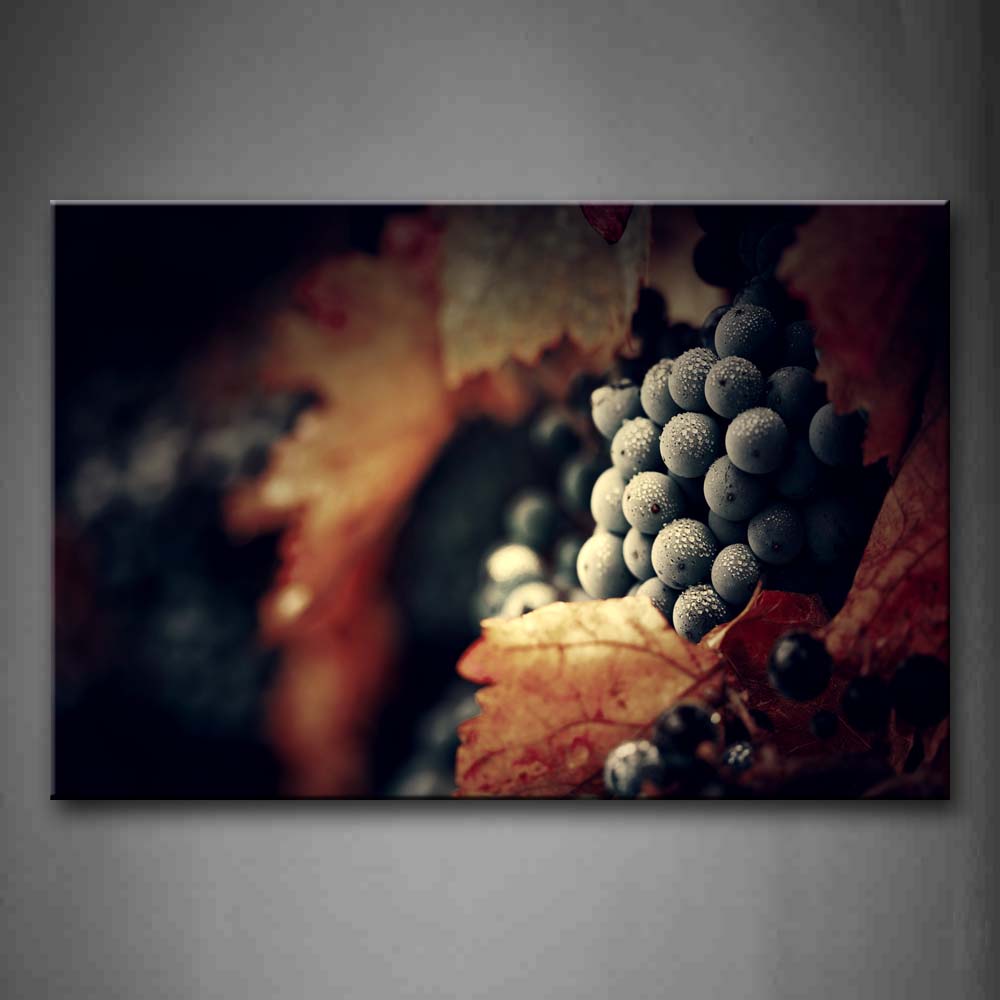 Brown Grapes With Water And Leaf Wall Art Painting Pictures Print On Canvas Food The Picture For Home Modern Decoration 