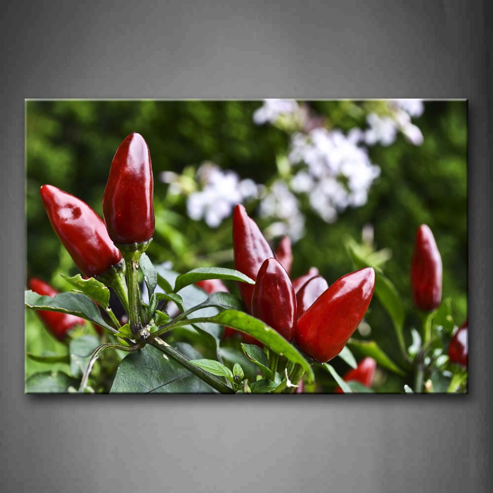 Red Pepper With Green Leaf  Wall Art Painting The Picture Print On Canvas Food Pictures For Home Decor Decoration Gift 