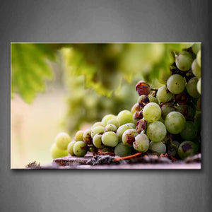 Good Grapes And Decayed Grapes. Wall Art Painting The Picture Print On Canvas Food Pictures For Home Decor Decoration Gift 