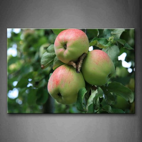 Three Apples With Leaves. Wall Art Painting The Picture Print On Canvas Food Pictures For Home Decor Decoration Gift 