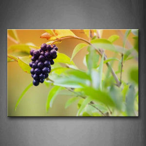 A Bunch Of Purple Grapes With Branch. Wall Art Painting The Picture Print On Canvas Food Pictures For Home Decor Decoration Gift 