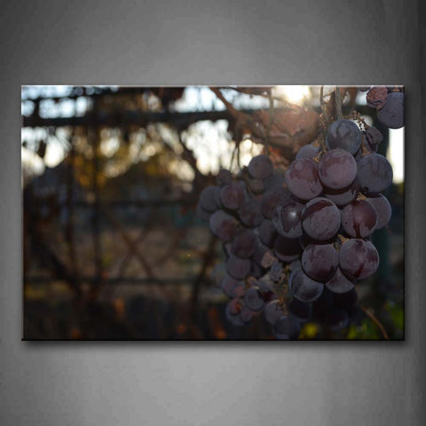 Some Bunches Of Purple Grapes. Wall Art Painting The Picture Print On Canvas Food Pictures For Home Decor Decoration Gift 