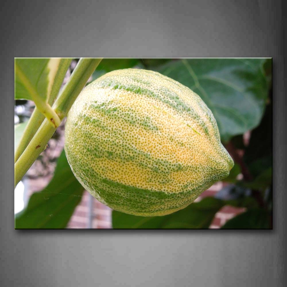 Green And Yellow Lemon At Its Branch. Wall Art Painting The Picture Print On Canvas Food Pictures For Home Decor Decoration Gift 