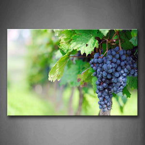 Grapes With Leaves Wall Art Painting The Picture Print On Canvas Food Pictures For Home Decor Decoration Gift 