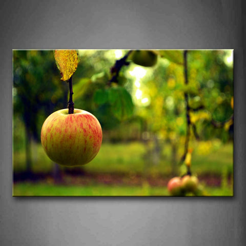 Apple In Yellow And Red With Leaves Wall Art Painting The Picture Print On Canvas Food Pictures For Home Decor Decoration Gift 