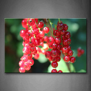 Red And Light Currant Wall Art Painting Pictures Print On Canvas Food The Picture For Home Modern Decoration 